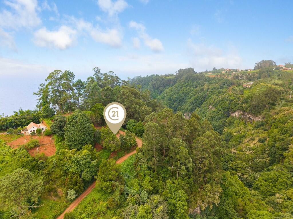 Terreno de 3 dormitorios en Santana, Portugal No. 275163