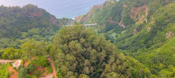 3 bedrooms Land in Santana, Portugal No. 275163 12