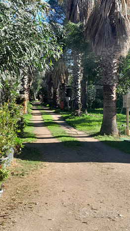 5-Zimmer Villa in Pula, Italy, Nr. 273580