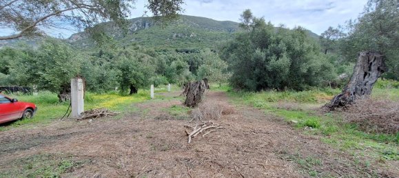 7000 m² hotel en venta en Corfu, Central Corfu and Diapontian Islands, Corfu, Ionian Islands, Peloponnese, Western Greece and the Ionian, Greece № 53192 13