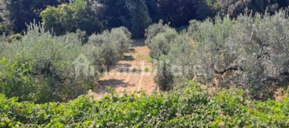 3 bedrooms House in Rocca San Giovanni, Italy No. 331736 19