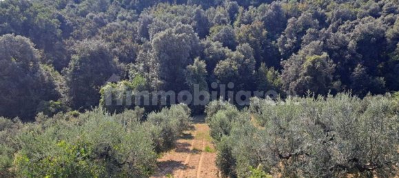 3 bedrooms House in Rocca San Giovanni, Italy No. 331736 20