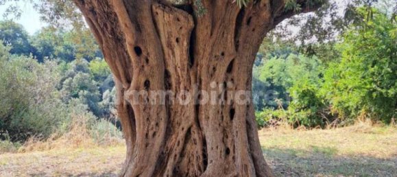 3 bedrooms House in Rocca San Giovanni, Italy No. 331736 4