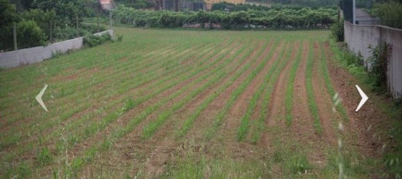 Terreno em Santa Maria da Feira, Portugal 6650 m² N.º 90405 6