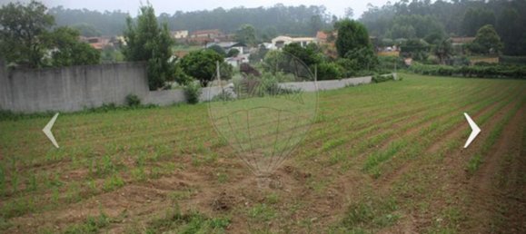 Terreno em Santa Maria da Feira, Portugal 6650 m² N.º 90405 3
