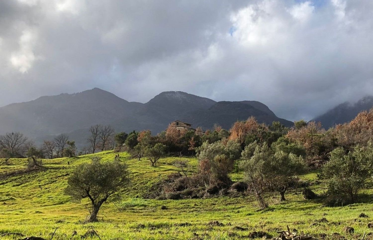 4 rooms House in San Sosti, Italy No. 254889