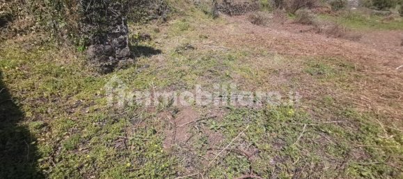 Casa de 4 habitaciónes en Piedimonte Etneo, Italy No. 87679 11