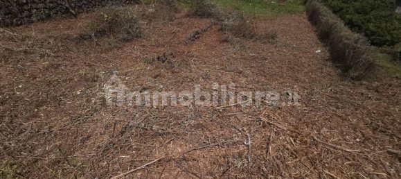 Casa de 4 habitaciónes en Piedimonte Etneo, Italy No. 87679 2