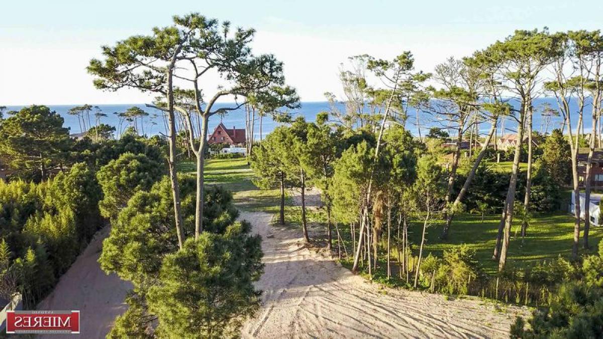 Terrain à Maldonado, Uruguay No. 15651