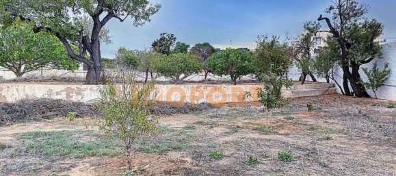 6598m² Land in Portimao, Portugal No. 62943 45