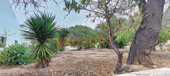 6598m² Land in Portimao, Portugal No. 62943 6