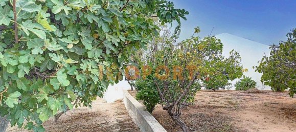 6598m² Land in Portimao, Portugal No. 62943 16