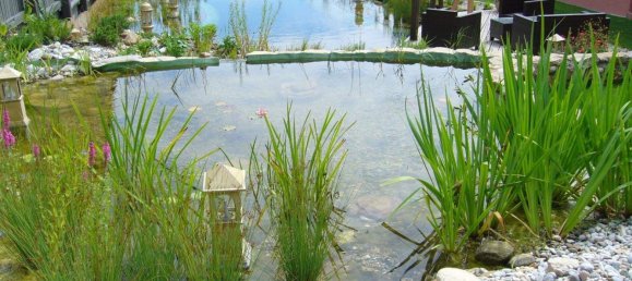 3 rooms Building in Gollersdorf, Austria No. 114621 47