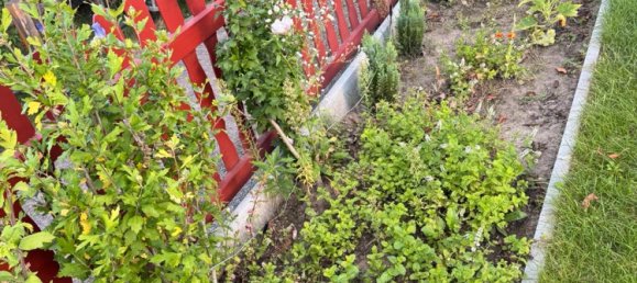 Land in Dresden, Germany No. 337979 18