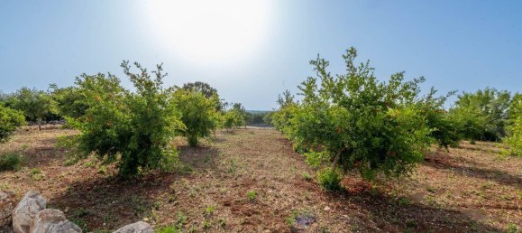 17-salle Maison à Cisternino, Italy No. 66816 26