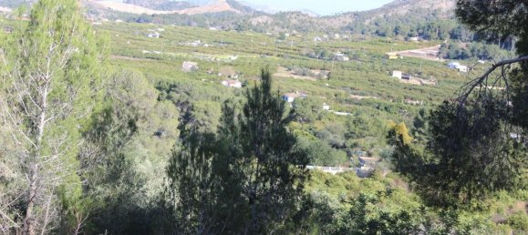 Terreno em Alzira, Spain 1000 m² N.º 97167 9