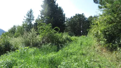 Terrain à Hohe Wand, Austria No. 213832