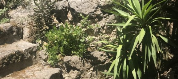 Villa T3 em Capalbio, Italy N.º 150233 3