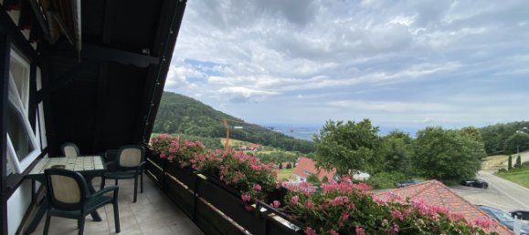 25 rooms Hotel in Ortenaukreis, Germany No. 54446 15