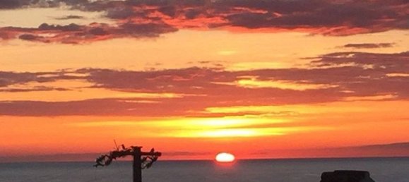 4 bedrooms Villa in Siniscola, Italy No. 117399 34