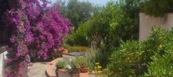 4 bedrooms Villa in Siniscola, Italy No. 117399 29