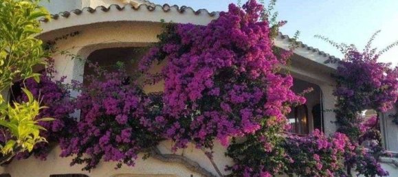 4 bedrooms Villa in Siniscola, Italy No. 117399 8