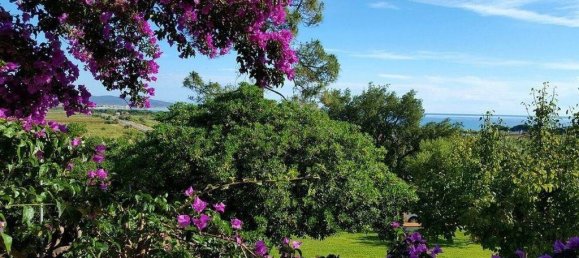 4 bedrooms Villa in Siniscola, Italy No. 117399 31