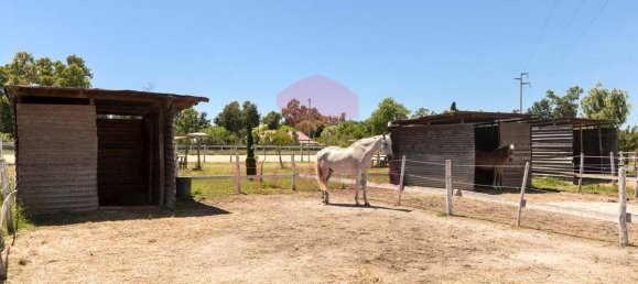 3 Schlafzimmer Villa in Sabaudia, Italy, Nr. 343806 48