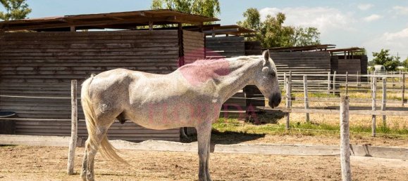 3 Schlafzimmer Villa in Sabaudia, Italy, Nr. 343806 47