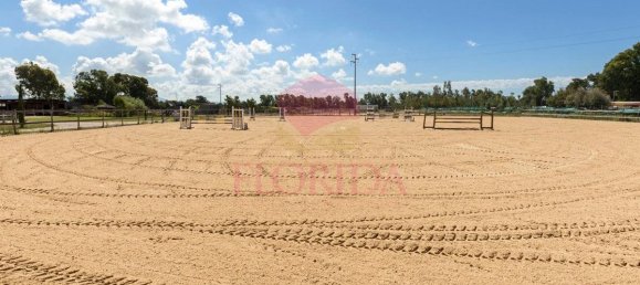 3 Schlafzimmer Villa in Sabaudia, Italy, Nr. 343806 10