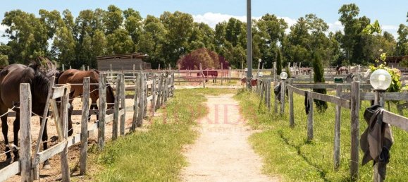 3 Schlafzimmer Villa in Sabaudia, Italy, Nr. 343806 44