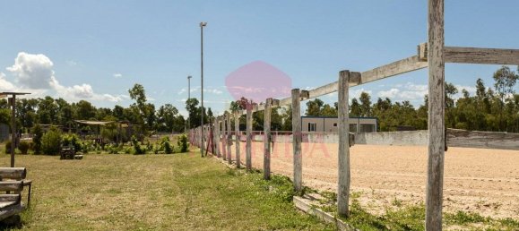 3 Schlafzimmer Villa in Sabaudia, Italy, Nr. 343806 36