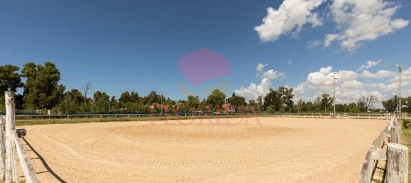 3 Schlafzimmer Villa in Sabaudia, Italy, Nr. 343806 13