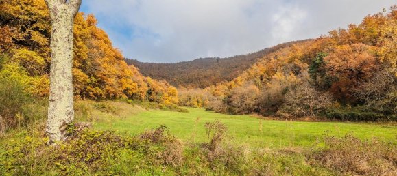 4 bedrooms House in Scarperia e San Piero, Italy No. 167052 41