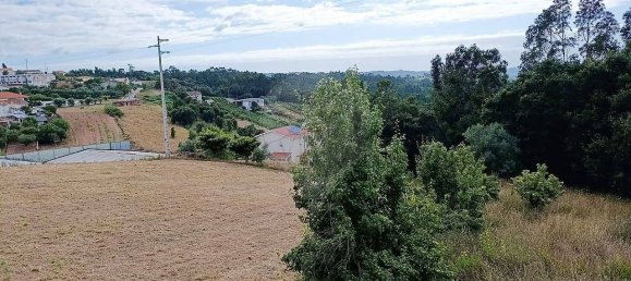 5 غرف نوم منزل في Maiorga, Portugal رقم 256332 4