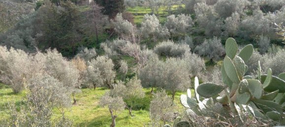 6 bedrooms Villa in Monreale, Italy No. 210423 50