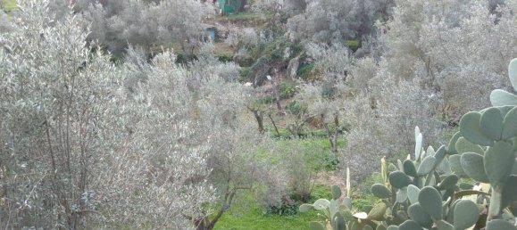 6 bedrooms Villa in Monreale, Italy No. 210423 39