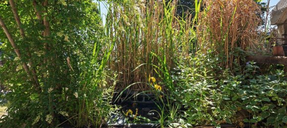 4غرفة منزل في Ganserndorf, Austria رقم 147753 8