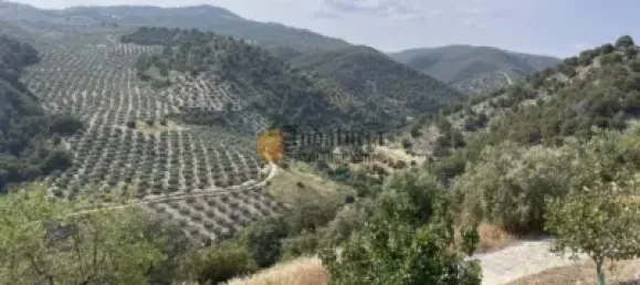 Дом с 4 спальнями в Гранада, Испания № 138887 50