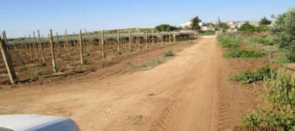  قطعة أرض في Caltagirone, Italy 34828متر مربع رقم 324809 2