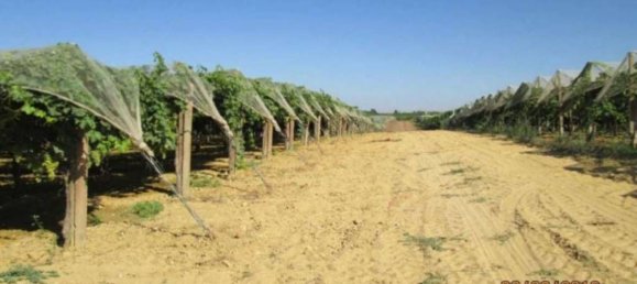  قطعة أرض في Caltagirone, Italy 34828متر مربع رقم 324809 7