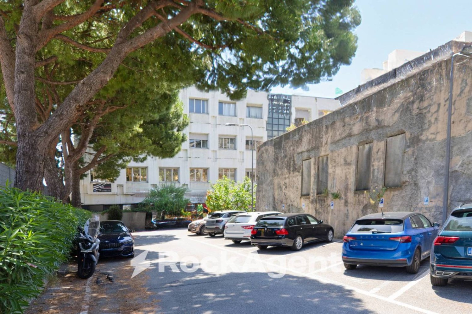 5 rooms Office in Genoa, Italy No. 295913