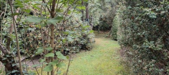 Adosado de 4 dormitorios en Herford, Germany No. 277024 4