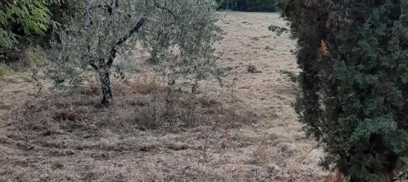 Земельный участок 2730м² в Кашана Терме Лари, Италия № 149501 12