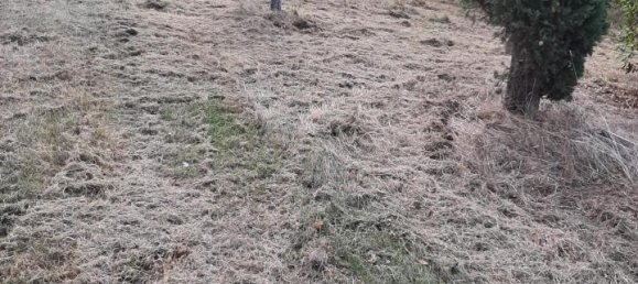 Земельный участок 2730м² в Кашана Терме Лари, Италия № 149501 10