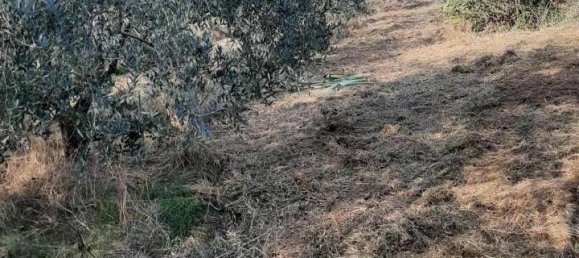 Земельный участок 2730м² в Кашана Терме Лари, Италия № 149501 2