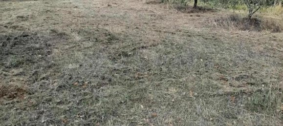 Земельный участок 2730м² в Кашана Терме Лари, Италия № 149501 4