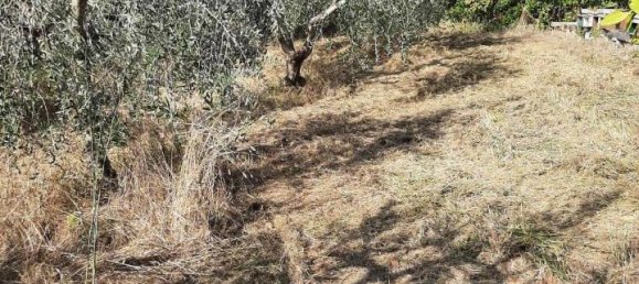 Земельный участок 2730м² в Кашана Терме Лари, Италия № 149501 5