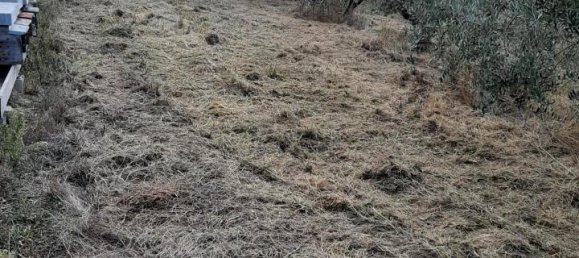 Земельный участок 2730м² в Кашана Терме Лари, Италия № 149501 8