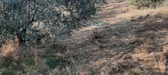 Земельный участок 2730м² в Кашана Терме Лари, Италия № 149501 7